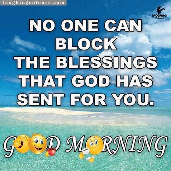 Meet your Posher, Sophia - Picture 1 of 1